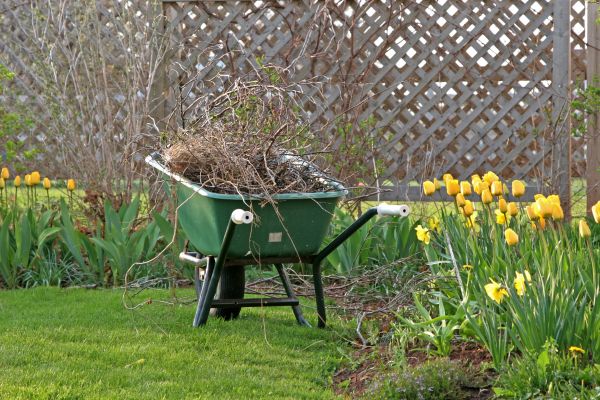 Flower Bed Cleanup Service in Lady Lake