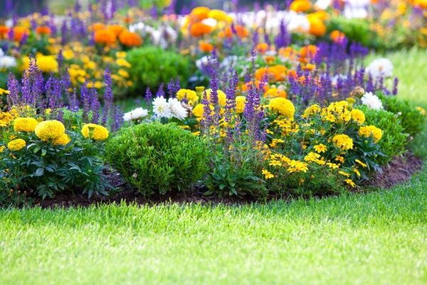 Flower Bed Maintenance in Lady Lake