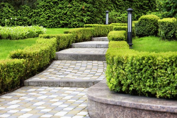 Backyard Remodeling in Lady Lake