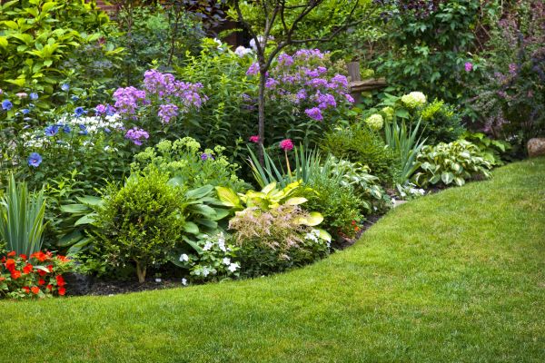 Flower Bed Service in Lady Lake