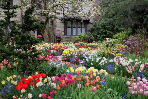 Garden Maintenance Service in Lady Lake
