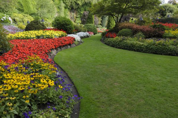 Landscaping Maintenance in Lady Lake