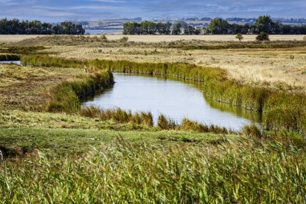 Swale Landscaping in Lady Lake