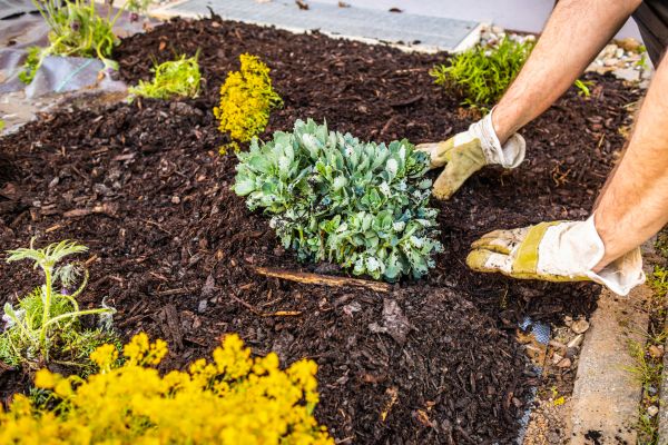 Weeding And Mulching in Lady Lake
