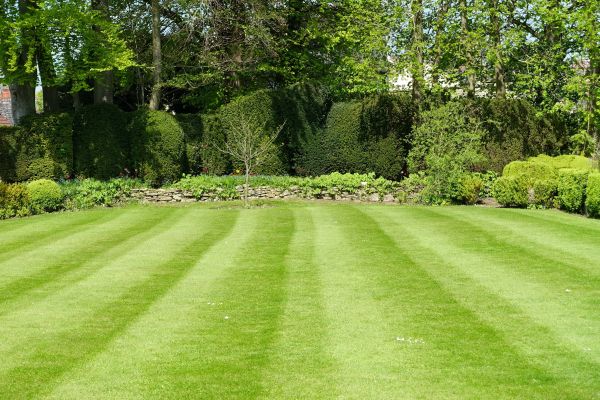 Lawn Renovation in Lady Lake