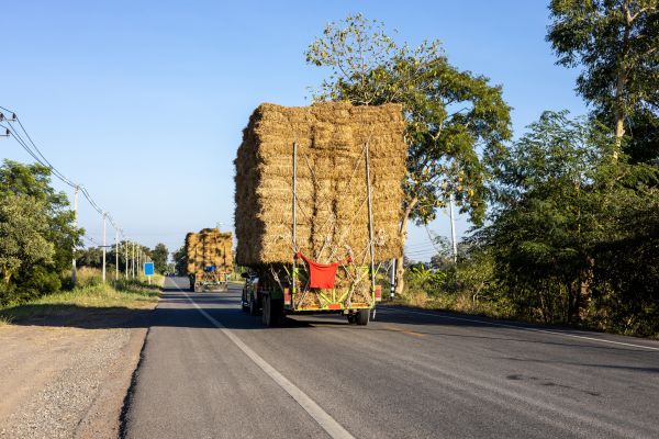 Pine Straw Delivery in Lady Lake