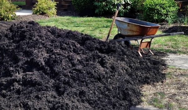 Black Mulch Delivery in Lady Lake