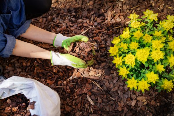 Garden Mulching in Lady Lake