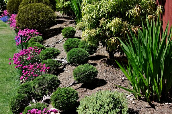 Residential Gardening in Lady Lake