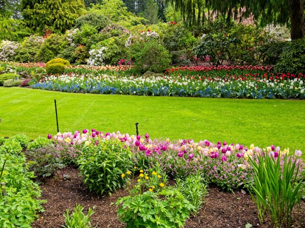Residential Landscape Design in Lady Lake