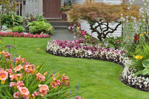Perennial Landscaping in Lady Lake