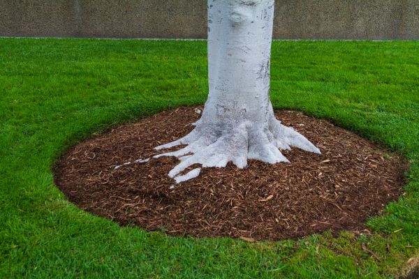 Brown Mulch Installation in Lady Lake