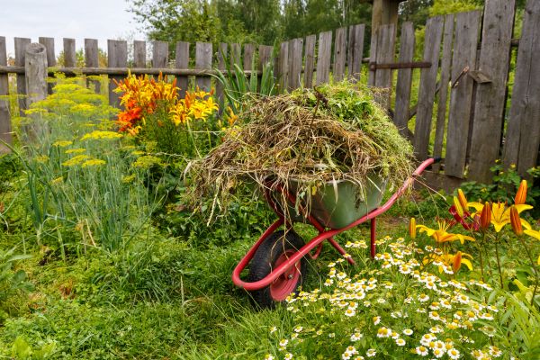 Garden Cleanup Service in Lady Lake