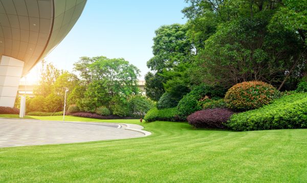 Business Landscape Design in Lady Lake