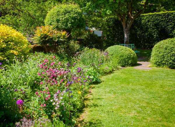 Yard Landscaping Service in Lady Lake