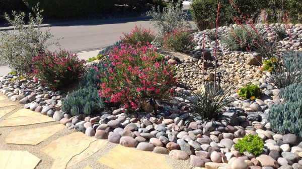 Xeriscape Landscaping in Lady Lake