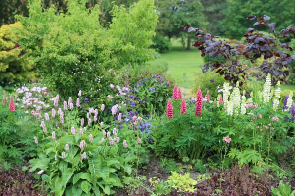 Flower Bed Planting in Lady Lake