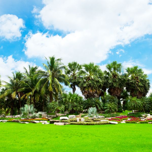 Tropical Landscaping in Lady Lake