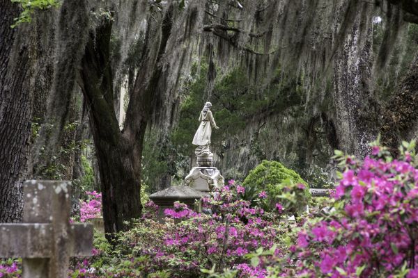 Cemetery Landscaping in Lady Lake