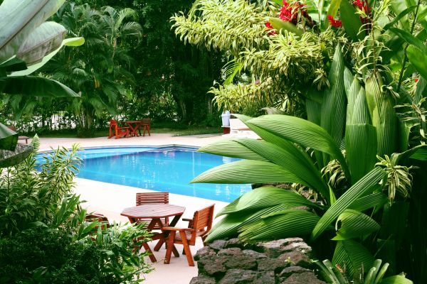 Tropical Garden Landscaping in Lady Lake