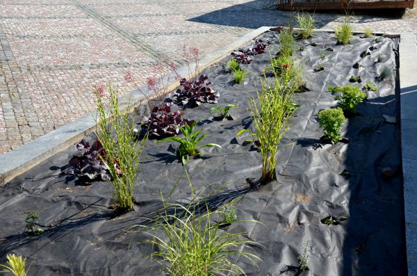 Landscape Fabric Installation in Lady Lake