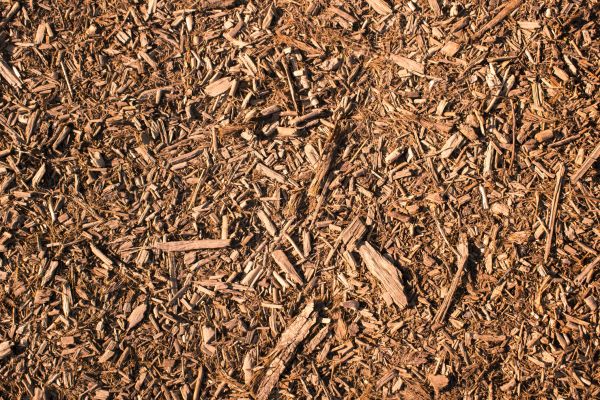 Wood Chips Removal in Lady Lake