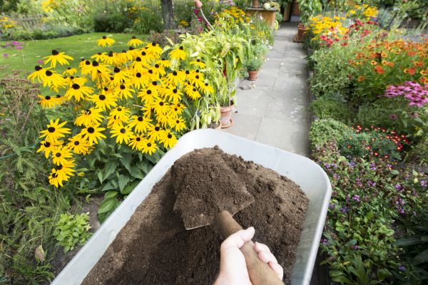 Topsoil Replacement in Lady Lake