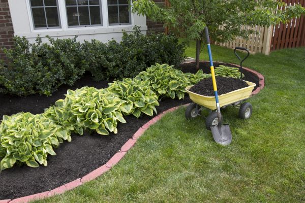 Landscape Mulching in Lady Lake