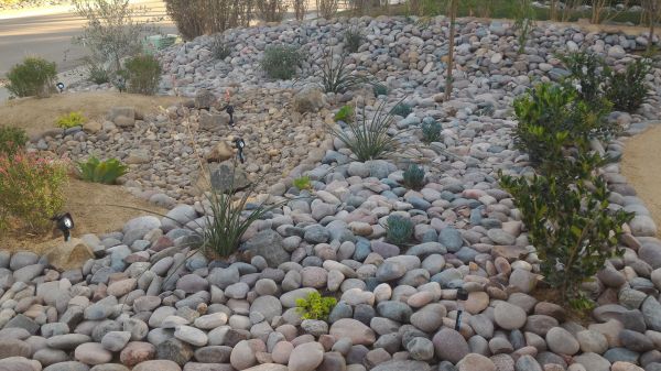 Yard Xeriscaping in Lady Lake