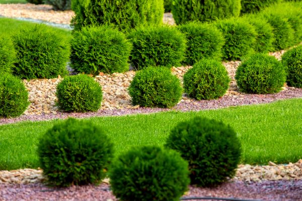 Bush Replacement in Lady Lake