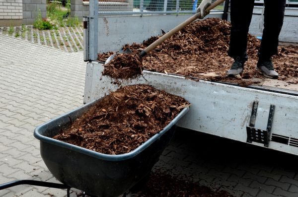 Playground Mulch Delivery in Lady Lake