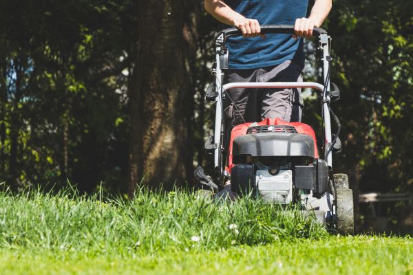 Garden Trimming Service in Lady Lake