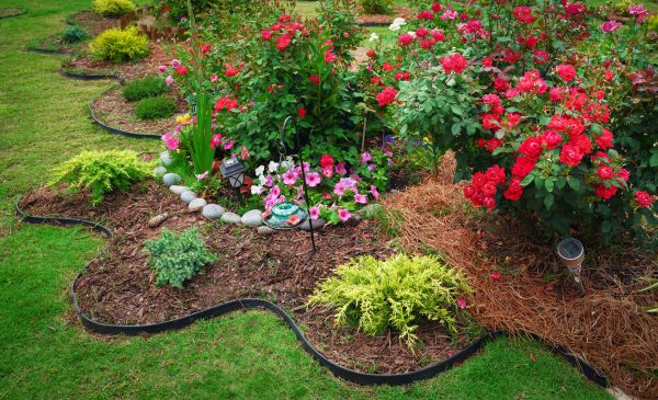 Floral Landscaping in Lady Lake