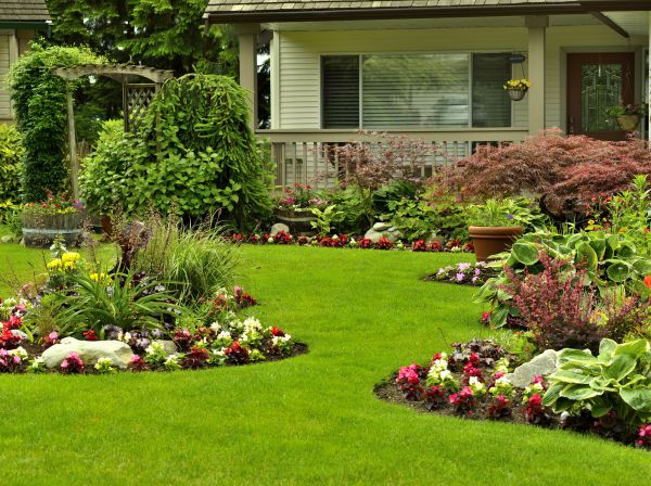 Flower Garden Planting in Lady Lake