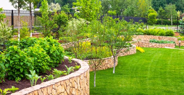 Yard Makeover Service in Lady Lake