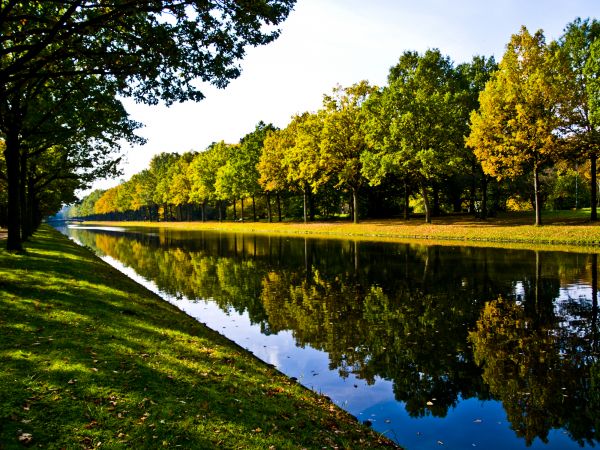Bank Landscaping in Lady Lake