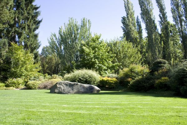 Yard Enlargement in Lady Lake