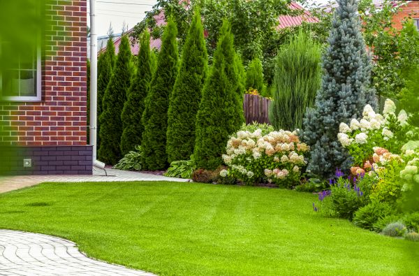 Spring Landscaping in Lady Lake