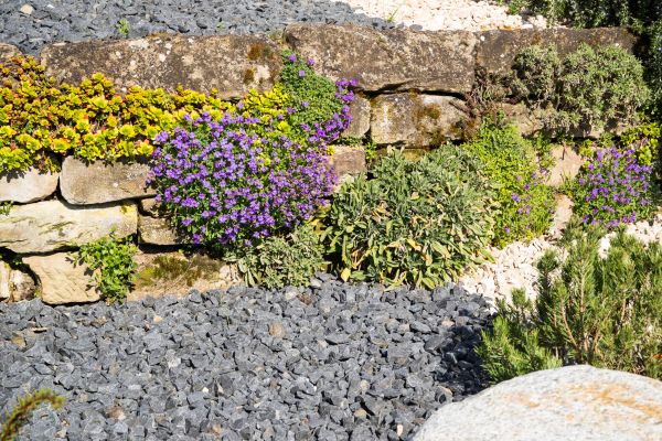 Landscaping Rocks Installation in Lady Lake