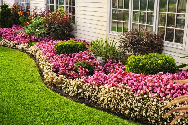 Garden Landscape Design in Lady Lake
