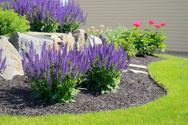 Landscape Planting Service in Lady Lake