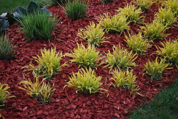 Red Mulch Installation in Lady Lake