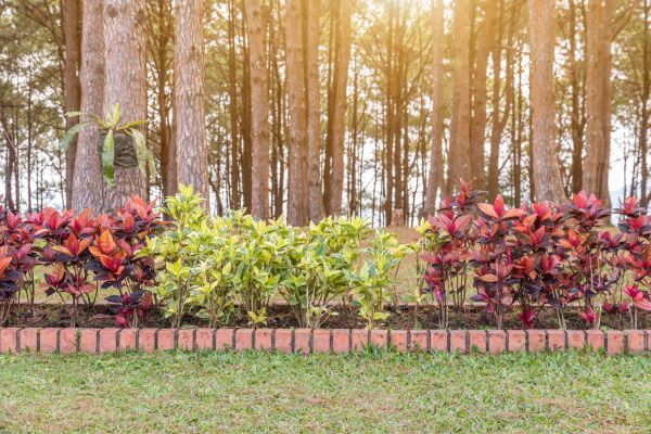 Small Garden Landscaping in Lady Lake
