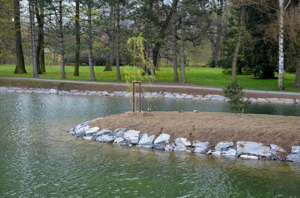 Pond Landscaping Service in Lady Lake