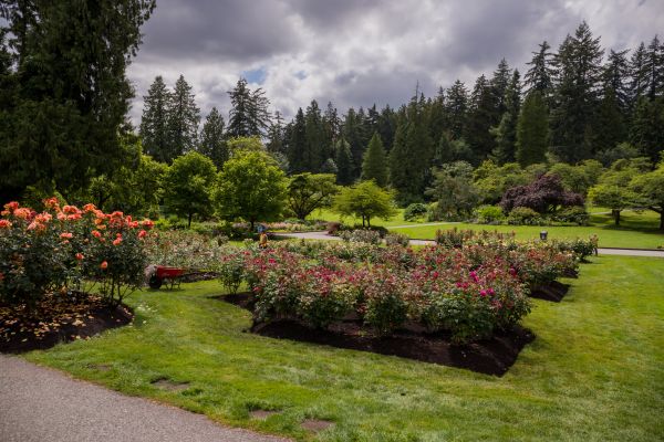 Flower Garden Landscaping in Lady Lake