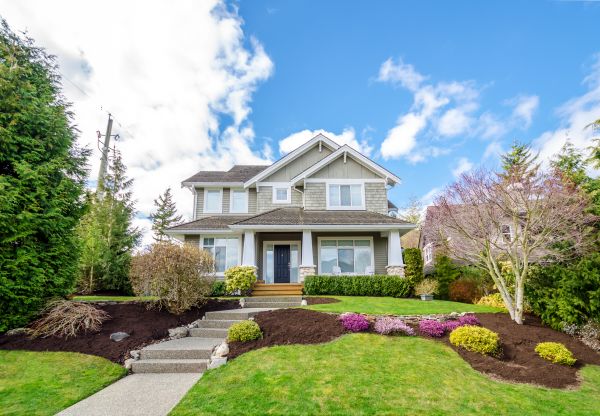 Landscaping Replacement in Lady Lake
