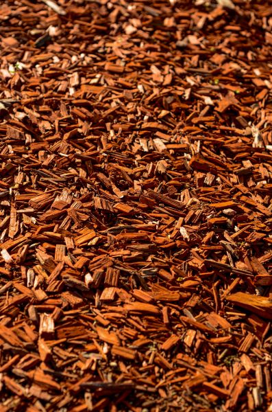 Cedar Mulch Spreading in Lady Lake